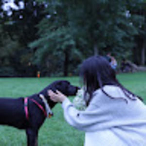 Meet your Posher, Huilin